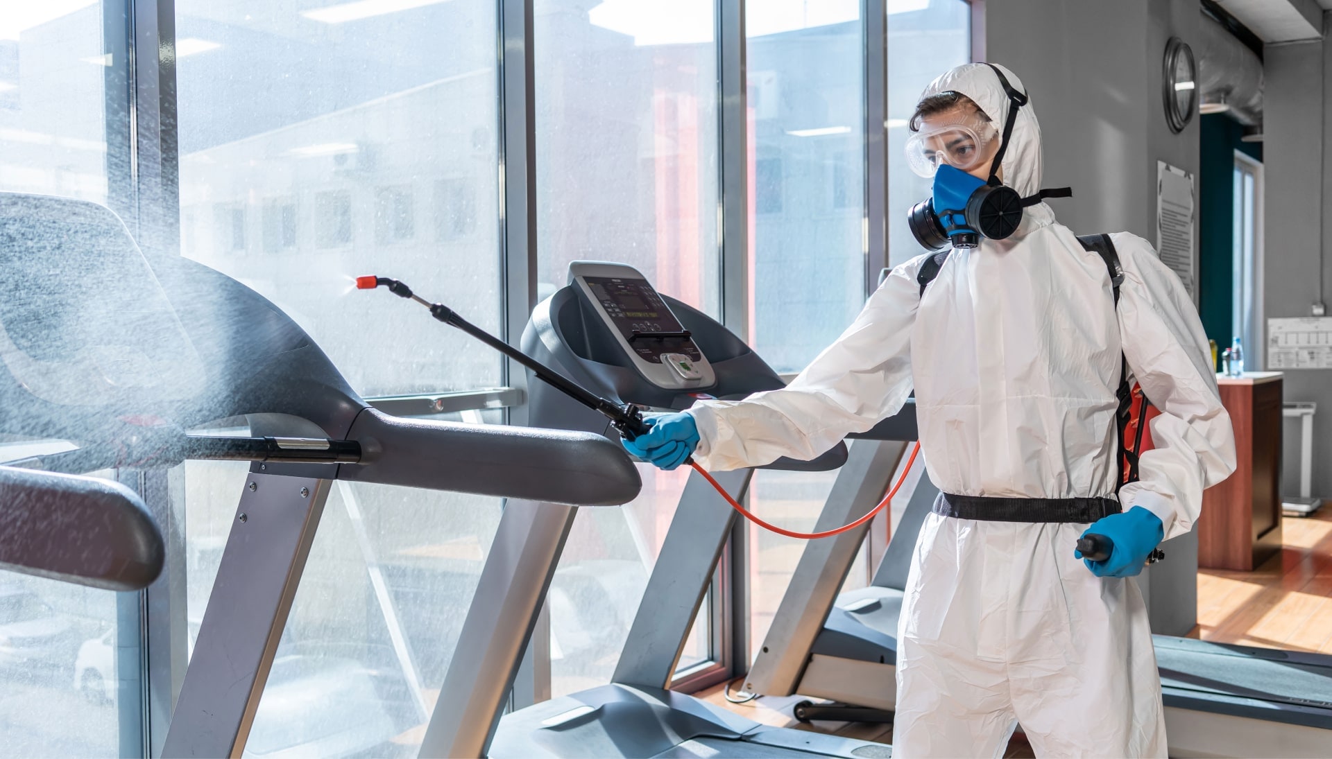 Commercial Mold Removal Services in Boca Raton