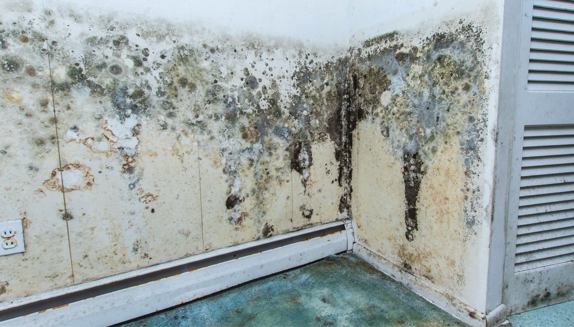 A mold remediation team using specialized techniques to remove mold damage and control odors in a Boca Raton property, with a focus on safety and efficiency